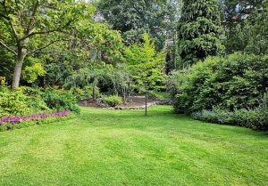 Optimiser l'expérience du jardin à Boudrac