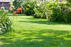 travaux jardin et paysage Boudrac